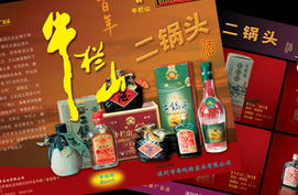 网端品牌设计 南京产品包装设计与广告设计的专业之道